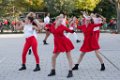 Schoolplein Festival A209